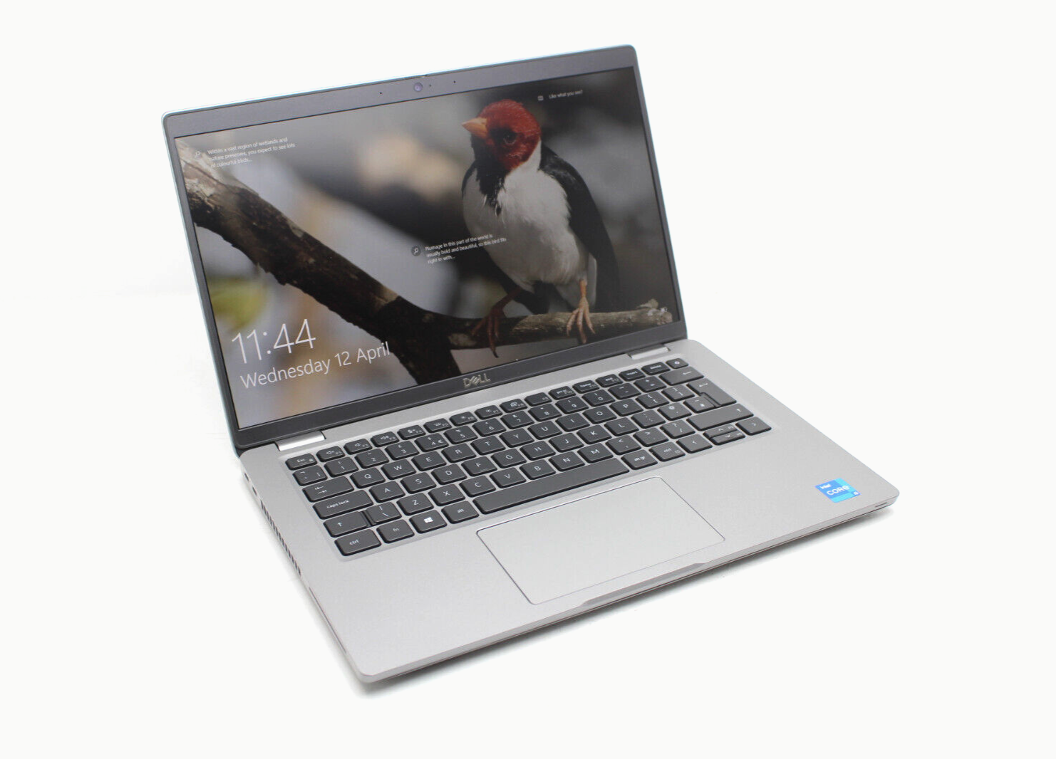 Dell-Latitude-5420 - 214482